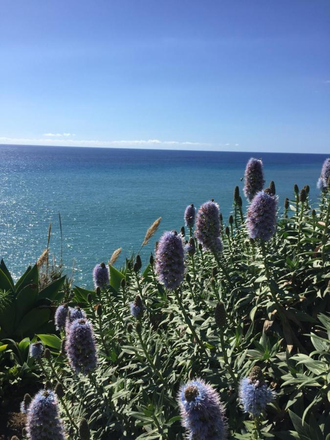 Calheta Ocean View Apartment 2 - Air Condition Estreito Da Calheta 외부 사진